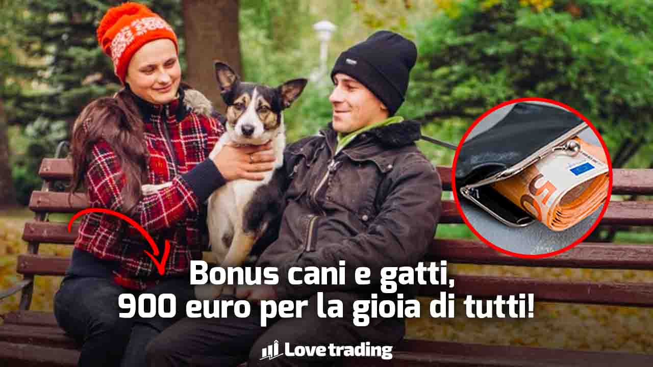 Bonus cani e gatti