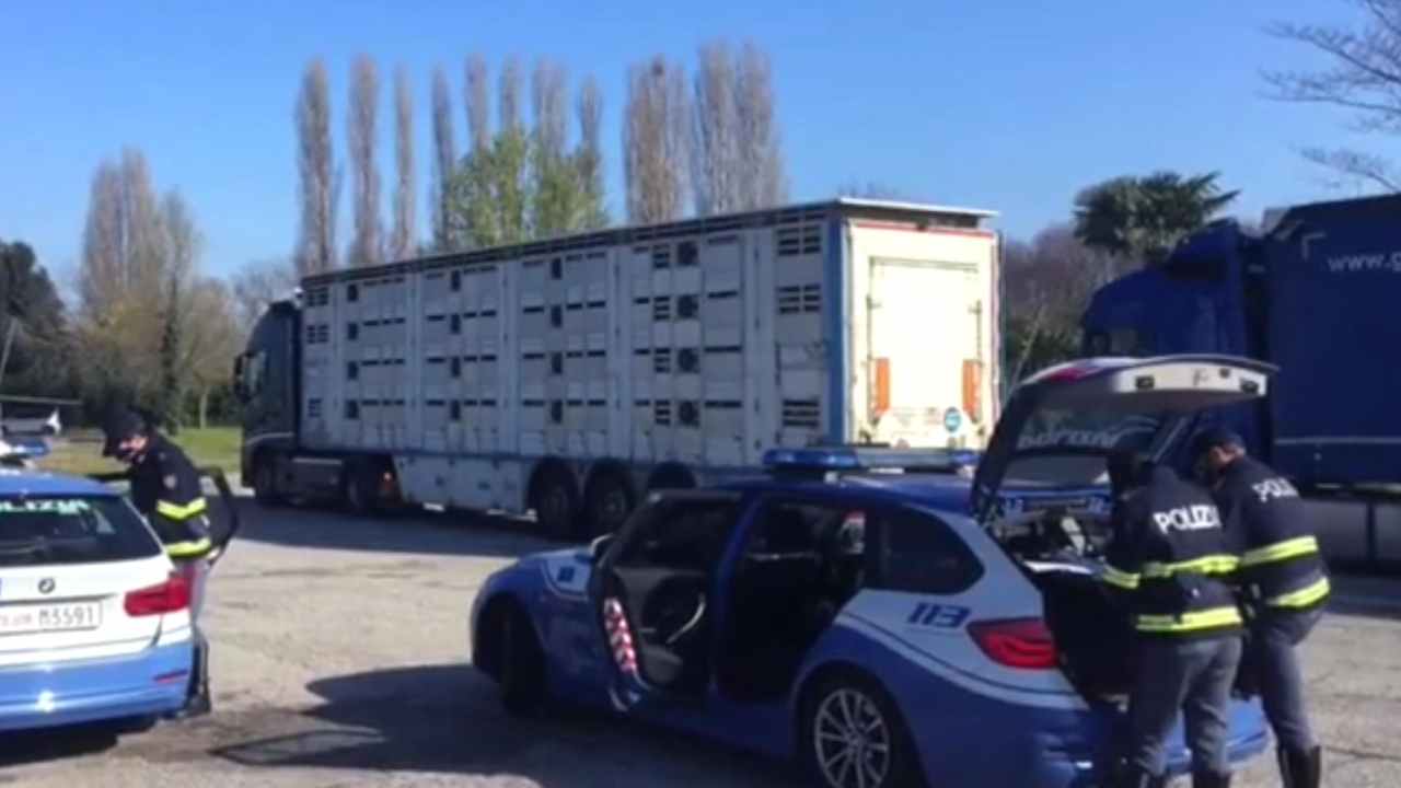 Multe non rientrano in sanatoria