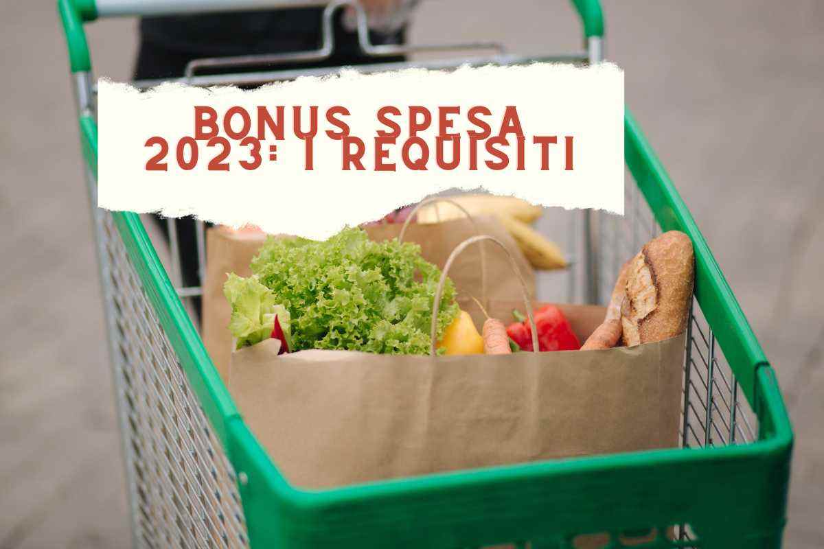 Bonus spesa 600 euro al via le domande, requisiti e quando scade