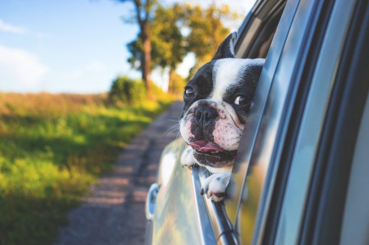 Perdere l'auto, ecco cosa controllare