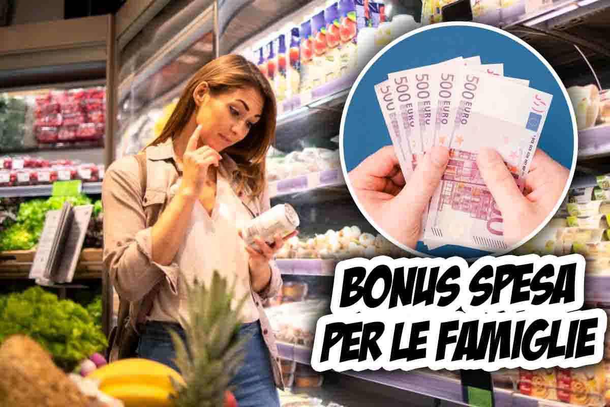 In cosa consiste il Bonus spesa per le famiglie ilovetrading.it 202307120